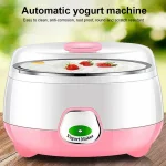 1L Yogurt Maker with Stainless Steel Container Electric Yogurt Maker with Constant Temperature Control for Homemade Yogurt Natto - Image 4