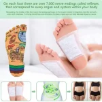 Kinoki Cleansing Detox Foot Herbal Natural Herbal Deep Cleansing Ginger Detoxification Improve Sleep Dehumidification Foot Patch - Image 2