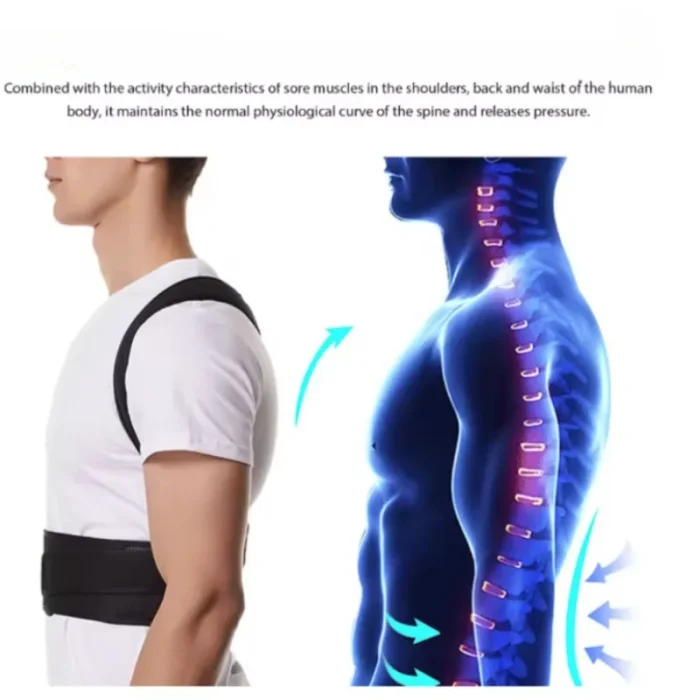 Back Brace Posture Corrector for Women & Men, Adjustable Back Lumbar Support Belt Shoulder Posture Support for Improve Scoliosis - Image 3